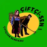 Çiftçi-Sen: Ayçiçeğini üretenler değil, şirketler kazanıyor!