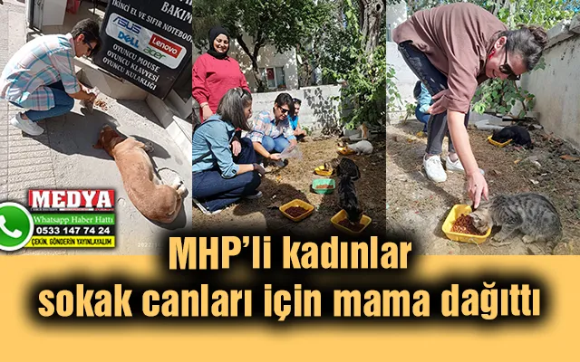 MHP’li kadınlar sokak canları için mama dağıttı